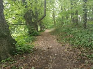 Wohnwagen Goldberg Umgebung 41