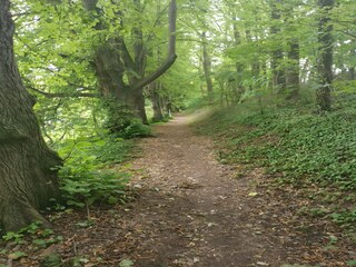 Wohnwagen Goldberg Umgebung 20