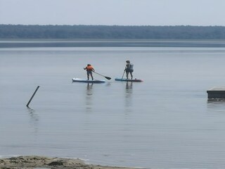 Trailer Goldberg Environment 28