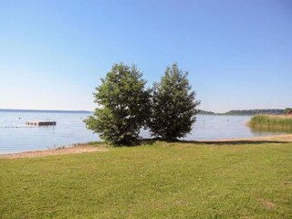 Rulot Goldberg Entorno 42