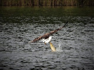 Wohnwagen Goldberg Umgebung 36