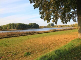 Roulotte Goldberg Ambiente 24