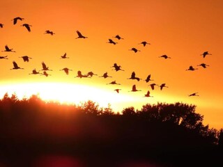 Wohnwagen Goldberg Umgebung 28