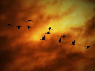 Wohnwagen Goldberg Umgebung 27