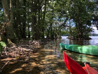 Roulotte Goldberg Environnement 15