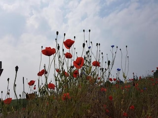 Wohnwagen Goldberg Umgebung 27