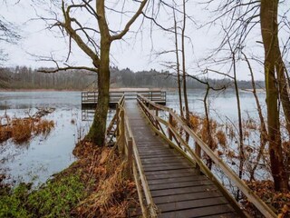 Roulotte Goldberg Environnement 21