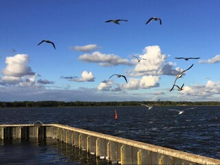 Huisboot Ribnitz-Damgarten  32