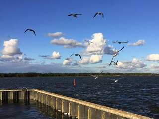 Huisboot Ribnitz-Damgarten  36