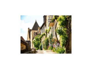 Vakantiepark Souillac Omgeving 30