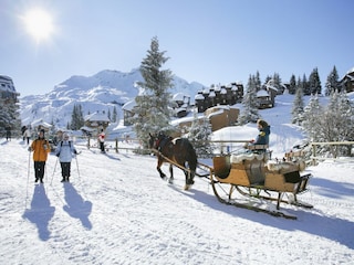 Holiday park Abondance  50