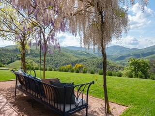Holiday house Mantignana Outdoor Recording 6