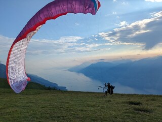 Paraglider