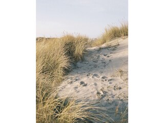Dünenlandschaft