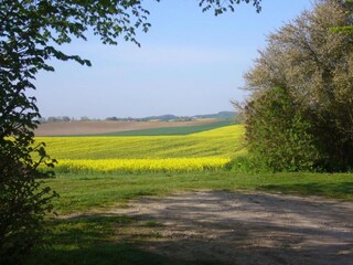 Appartamento Kröpelin Ambiente 37