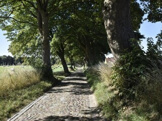 Apartamento Kröpelin Entorno 36