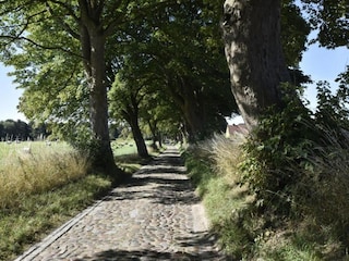 Appartement Kröpelin Environnement 36