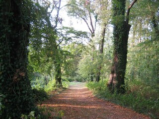 Apartamento Kröpelin Entorno 33