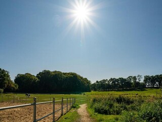 Apartment Kröpelin Umgebung 29
