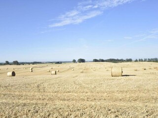 Appartement Kröpelin Omgeving 37