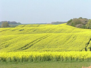 Apartamento Kröpelin Entorno 20