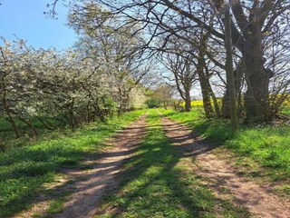 Appartamento Kröpelin Ambiente 21