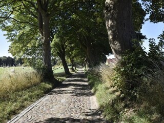 Apartment Kröpelin Environment 27