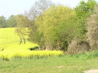 Appartement Kröpelin Environnement 27