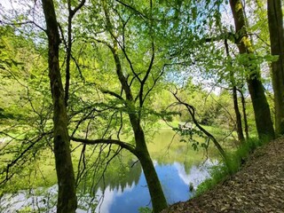 Appartement Winterberg Omgeving 38