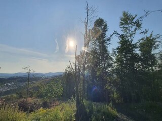 Appartement Winterberg Omgeving 53