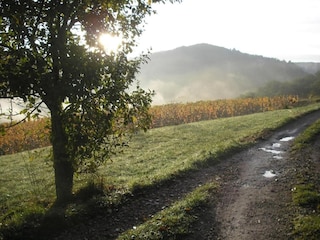 Ferienpark Rignac Umgebung 25