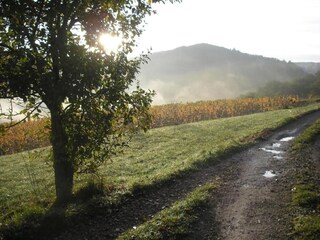 Vakantiepark Rignac Omgeving 25