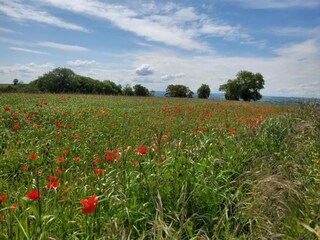Parc de vacances Rignac Environnement 35