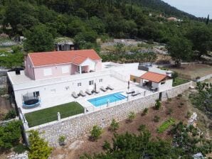 Villa in Gruda mit privatem Pool - Mihanići - image1