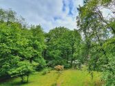 Blick auf den Garten mit Grillplatz