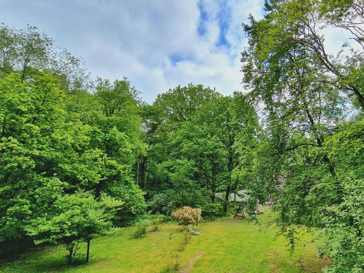 Blick auf den Garten mit Grillplatz