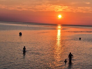 Schwimmen im Sonnenuntergang