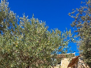 Casa per le vacanze Bonnieux Registrazione all'aperto 11