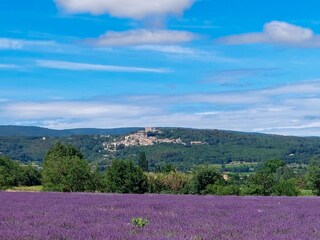 Casa per le vacanze Bonnieux Ambiente 35