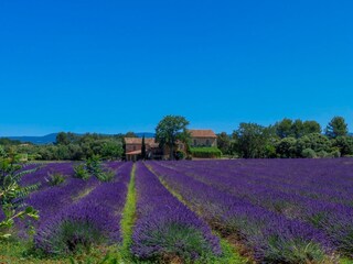 Holiday house Bonnieux Environment 37