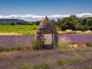 Casa per le vacanze Bonnieux Ambiente 40