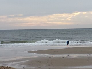 Vakantieappartement Julianadorp Omgeving 14