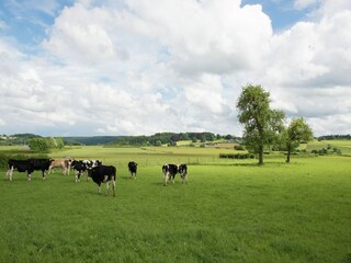 Casa per le vacanze Theux Ambiente 26