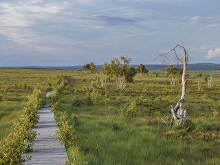 Casa per le vacanze Robertville Ambiente 26
