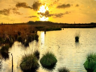 Vakantiehuis Robertville Omgeving 24