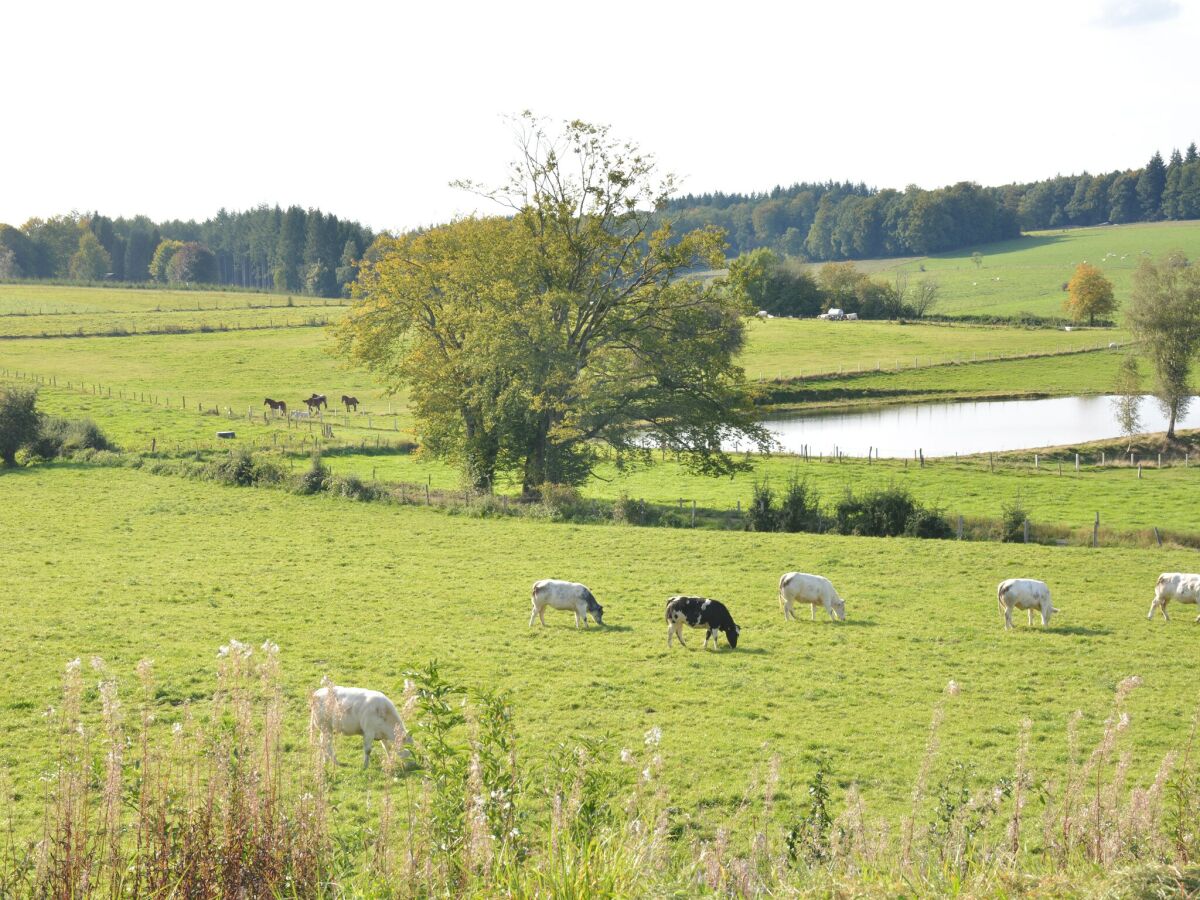 Ferienhaus Vresse-sur-Semois Umgebung 30