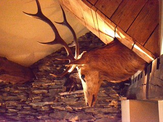 Vakantiehuis Vresse-sur-Semois  39