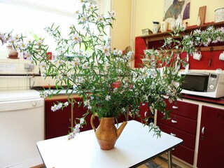 Type de propriété : Chalet Beernem Équipement 31