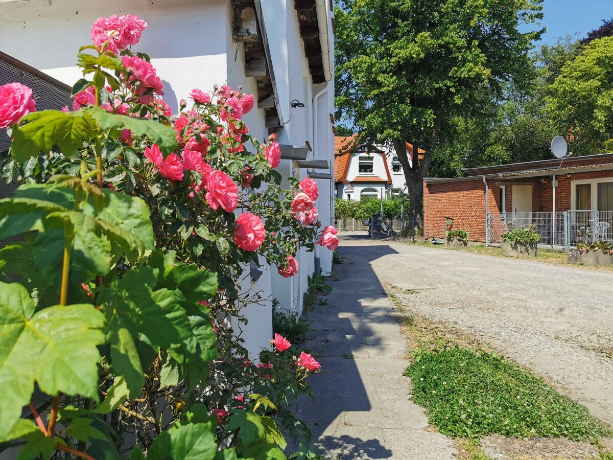 Außenbereich Zufahrt