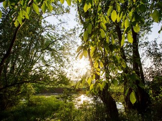 Vakantiehuis Momignies Omgeving 30